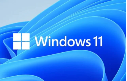 Windows11InsiderPreviewBuild22000.176导致用户出现问题