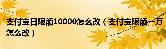 支付宝日限额10000怎么改（支付宝限额一万怎么改）