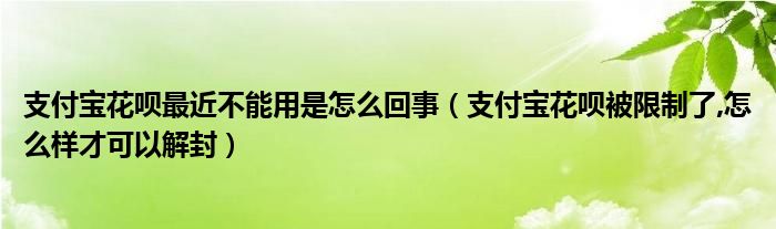 支付宝花呗最近不能用是怎么回事（支付宝花呗被限制了,怎么样才可以解封）