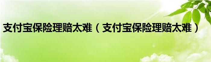 支付宝保险理赔太难（支付宝保险理赔太难）