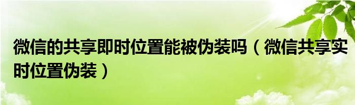 微信的共享即时位置能被伪装吗（微信共享实时位置伪装）