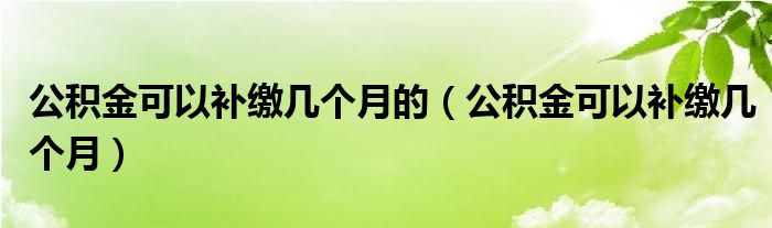 公积金可以补缴几个月的（公积金可以补缴几个月）