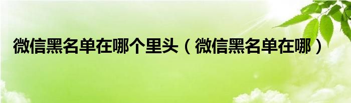 微信黑名单在哪个里头（微信黑名单在哪）