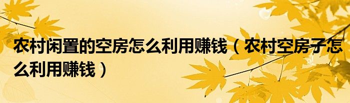 农村闲置的空房怎么利用赚钱（农村空房子怎么利用赚钱）