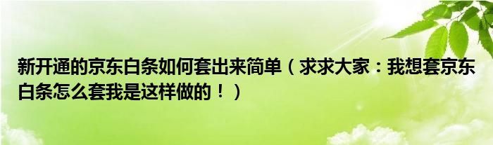 新开通的京东白条如何套出来简单（求求大家：我想套京东白条怎么套我是这样做的！）