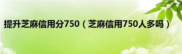 提升芝麻信用分750（芝麻信用750人多吗）