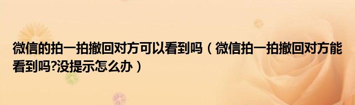 微信的拍一拍撤回对方可以看到吗（微信拍一拍撤回对方能看到吗?没提示怎么办）