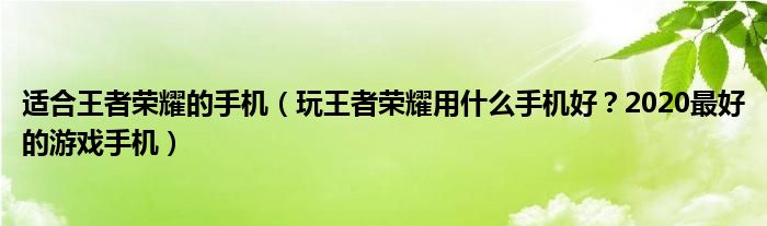 适合王者荣耀的手机（玩王者荣耀用什么手机好？2020最好的游戏手机）