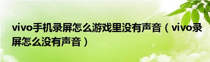 vivo手机录屏怎么游戏里没有声音（vivo录屏怎么没有声音）