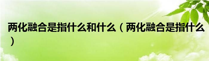 两化融合是指什么和什么（两化融合是指什么）