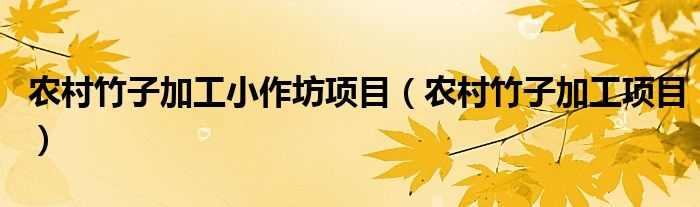 农村竹子加工小作坊项目（农村竹子加工项目）