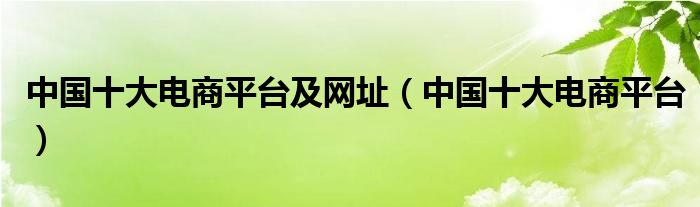 中国十大电商平台及网址（中国十大电商平台）