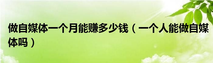 做自媒体一个月能赚多少钱（一个人能做自媒体吗）