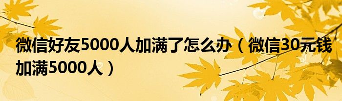 微信好友5000人加满了怎么办（微信30元钱加满5000人）