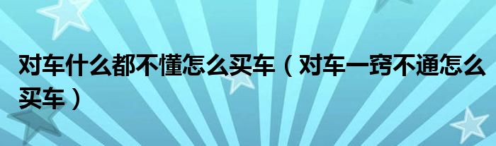 对车什么都不懂怎么买车（对车一窍不通怎么买车）