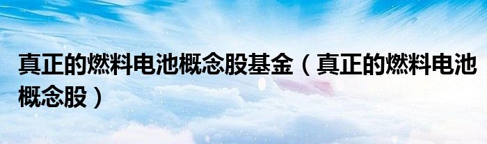 真正的燃料电池概念股基金（真正的燃料电池概念股）