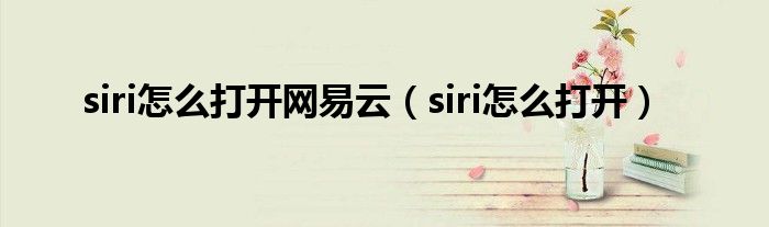 siri怎么打开网易云（siri怎么打开）