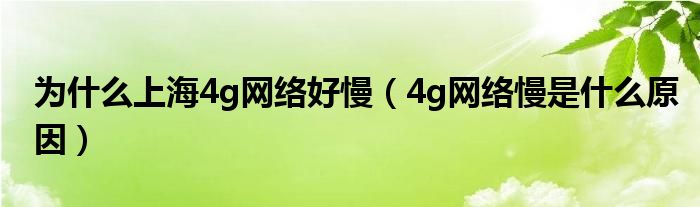 为什么上海4g网络好慢（4g网络慢是什么原因）