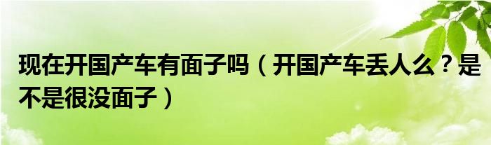 现在开国产车有面子吗（开国产车丢人么？是不是很没面子）