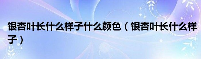 银杏叶长什么样子什么颜色（银杏叶长什么样子）