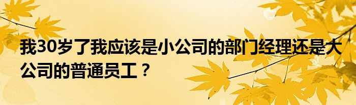 我30岁了我应该是小公司的部门经理还是大公司的普通员工？