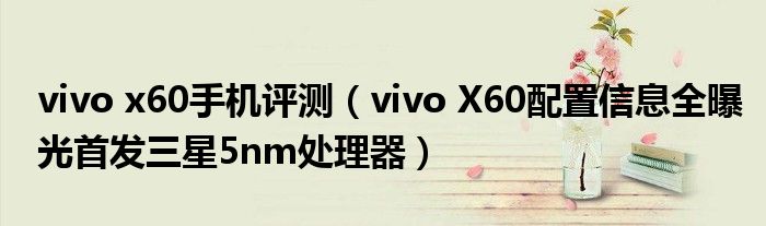 vivo x60手机评测（vivo X60配置信息全曝光首发三星5nm处理器）