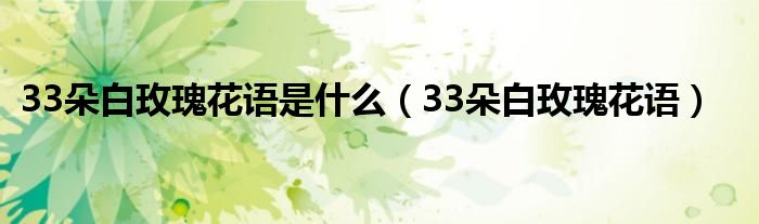 33朵白玫瑰花语是什么（33朵白玫瑰花语）