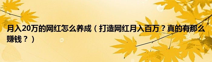 月入20万的网红怎么养成（打造网红月入百万？真的有那么赚钱？）