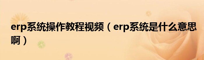 erp系统操作教程视频（erp系统是什么意思啊）