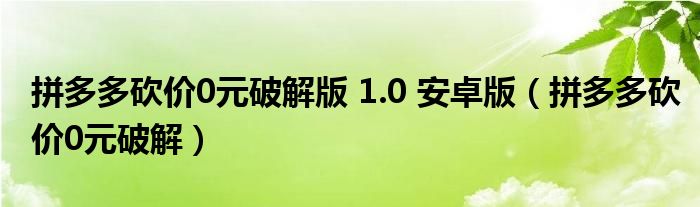 拼多多砍价0元破解版 1.0 安卓版（拼多多砍价0元破解）