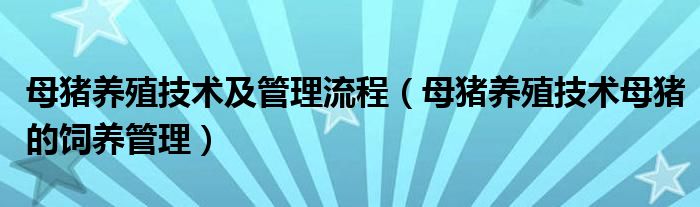 母猪养殖技术及管理流程（母猪养殖技术母猪的饲养管理）