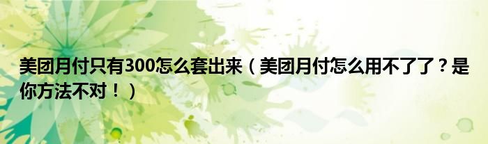 美团月付只有300怎么套出来（美团月付怎么用不了了？是你方法不对！）