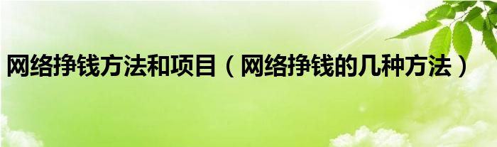 网络挣钱方法和项目（网络挣钱的几种方法）