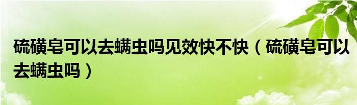 硫磺皂可以去螨虫吗见效快不快（硫磺皂可以去螨虫吗）