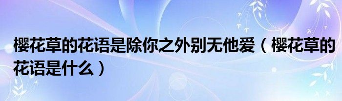 樱花草的花语是除你之外别无他爱（樱花草的花语是什么）