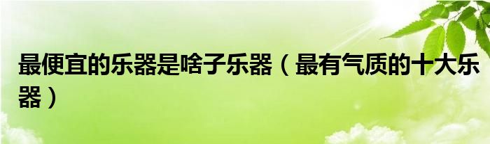 最便宜的乐器是啥子乐器（最有气质的十大乐器）