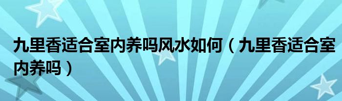 九里香适合室内养吗风水如何（九里香适合室内养吗）