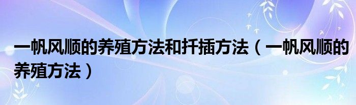 一帆风顺的养殖方法和扦插方法（一帆风顺的养殖方法）