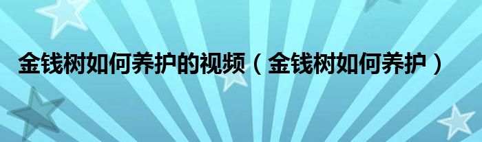 金钱树如何养护的视频（金钱树如何养护）