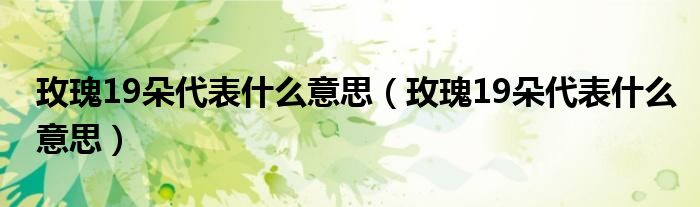 玫瑰19朵代表什么意思（玫瑰19朵代表什么意思）