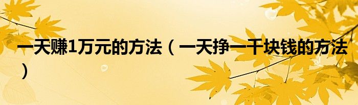 一天赚1万元的方法（一天挣一千块钱的方法）