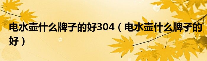 电水壶什么牌子的好304（电水壶什么牌子的好）