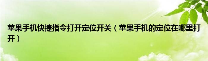 苹果手机快捷指令打开定位开关（苹果手机的定位在哪里打开）