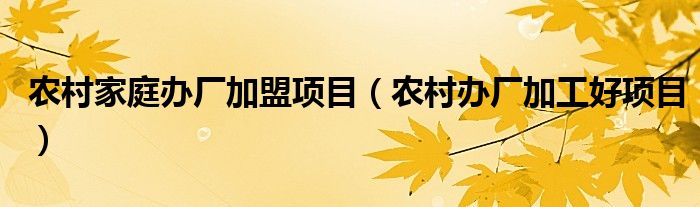 农村家庭办厂加盟项目（农村办厂加工好项目）