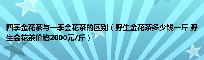 四季金花茶与一季金花茶的区别（野生金花茶多少钱一斤 野生金花茶价格2000元/斤）