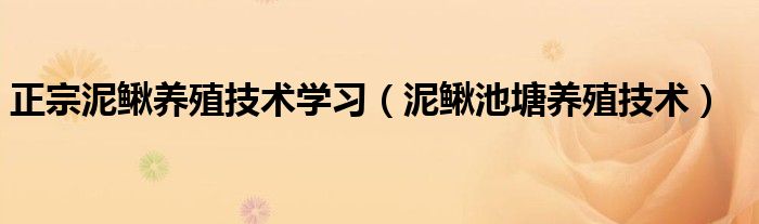 正宗泥鳅养殖技术学习（泥鳅池塘养殖技术）