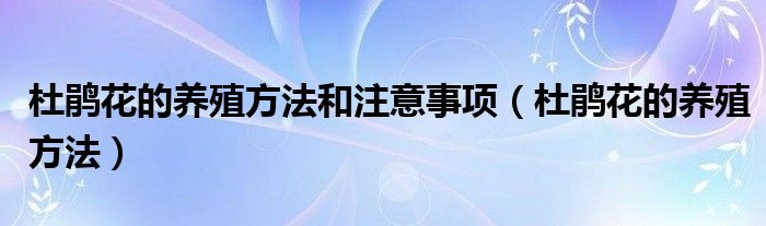 杜鹃花的养殖方法和注意事项（杜鹃花的养殖方法）