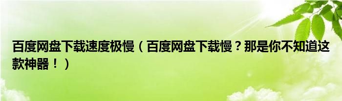 百度网盘下载速度极慢（百度网盘下载慢？那是你不知道这款神器！）