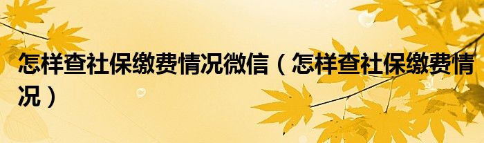 怎样查社保缴费情况微信（怎样查社保缴费情况）