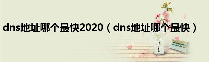 dns地址哪个最快2020（dns地址哪个最快）